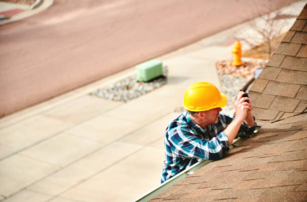 Best Roof Moss and Algae Removal  in Chackbay, LA